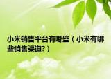 小米銷售平臺(tái)有哪些（小米有哪些銷售渠道?）