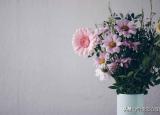 逗比是什么意思（逗比原來也算一種心理問題）
