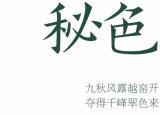 流光溢彩的意思（流光溢彩是他們的）
