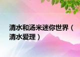 清水和湯米迷你世界（清水愛理）