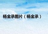 楊金承圖片（楊金承）