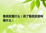 魯班獎是什么（得了魯班獎意味著什么）