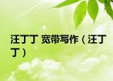 汪丁丁 寬帶寫作（汪丁?。? /></span></a>
                        <h2><a href=