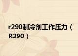 r290制冷劑工作壓力（R290）