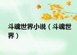 斗魂世界小說(shuō)（斗魂世界）