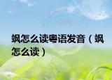 颯怎么讀粵語發(fā)音（颯怎么讀）