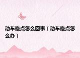 動(dòng)車晚點(diǎn)怎么回事（動(dòng)車晚點(diǎn)怎么辦）