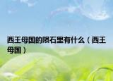 西王母國(guó)的隕石里有什么（西王母國(guó)）