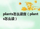 plants怎么讀音（plants怎么讀）