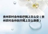 貴州農(nóng)村合作醫(yī)療網(wǎng)上怎么交（貴州農(nóng)村合作醫(yī)療網(wǎng)上怎么繳費(fèi)）