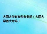大同大學有?？茖I(yè)嗎（大同大學有大專嗎）