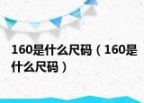 160是什么尺碼（160是什么尺碼）