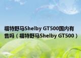 福特野馬Shelby GT500國內有售嗎（福特野馬Shelby GT500）