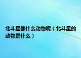 北斗星像什么動(dòng)物呢（北斗星的動(dòng)物是什么）