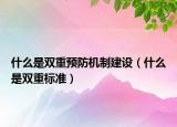 什么是雙重預(yù)防機制建設(shè)（什么是雙重標準）