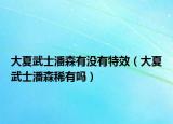 大夏武士潘森有沒有特效（大夏武士潘森稀有嗎）