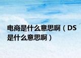 電商是什么意思啊（DS是什么意思?。? /></span></a>
                        <h2><a href=