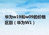 華為w19和w09的價格區(qū)別（華為W1）