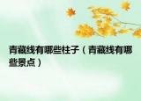青藏線有哪些柱子（青藏線有哪些景點(diǎn)）
