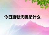 今日更新夫妻是什么