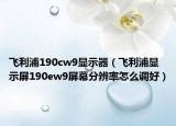 飛利浦190cw9顯示器（飛利浦顯示屏190ew9屏幕分辨率怎么調(diào)好）