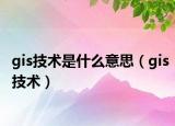 gis技術(shù)是什么意思（gis技術(shù)）