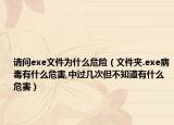 請問exe文件為什么危險（文件夾.exe病毒有什么危害,中過幾次但不知道有什么危害）