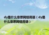 dy是什么意思網(wǎng)絡(luò)用語(yǔ)（dy是什么意思網(wǎng)絡(luò)用語(yǔ)）
