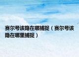 賽爾號(hào)該隱在哪捕捉（賽爾號(hào)該隱在哪里捕捉）