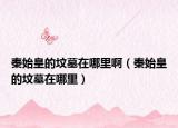 秦始皇的墳?zāi)乖谀睦锇。ㄇ厥蓟实膲災(zāi)乖谀睦铮? /></span></a>
                        <h2><a href=