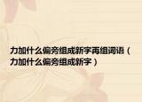 力加什么偏旁組成新字再組詞語（力加什么偏旁組成新字）