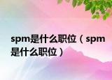 spm是什么職位（spm是什么職位）