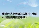 我叫mt人物等級(jí)怎么提升（我叫mt如何提升技能等級(jí)）