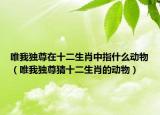 唯我獨(dú)尊在十二生肖中指什么動(dòng)物（唯我獨(dú)尊猜十二生肖的動(dòng)物）