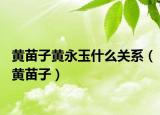 黃苗子黃永玉什么關系（黃苗子）