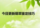 今日更新翡翠鑒定技巧