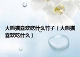 大熊貓喜歡吃什么竹子（大熊貓喜歡吃什么）