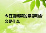 今日更新穎的意思和含義是什么