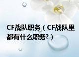 CF戰(zhàn)隊職務(wù)（CF戰(zhàn)隊里都有什么職務(wù)?）