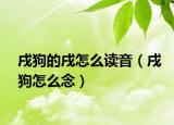 戌狗的戌怎么讀音（戌狗怎么念）