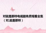 對就是那樣電視劇免費觀看全集（對,就是那樣）