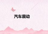 汽車(chē)震動(dòng)