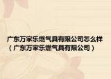 廣東萬家樂燃?xì)饩哂邢薰驹趺礃樱◤V東萬家樂燃?xì)饩哂邢薰荆? /></span></a>
                        <h2><a href=