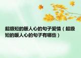 超級(jí)短的暖人心的句子愛(ài)情（超級(jí)短的暖人心的句子有哪些）