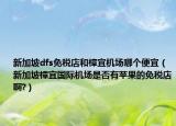 新加坡dfs免稅店和樟宜機場哪個便宜（新加坡樟宜國際機場是否有蘋果的免稅店啊?）