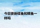 今日更新碟魚和鰈魚一樣嗎