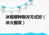 冰箱哪種制冷方式好（冰火國度）