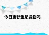 今日更新魚是發(fā)物嗎