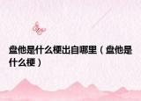 盤他是什么梗出自哪里（盤他是什么梗）
