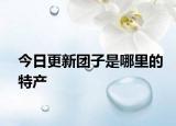 今日更新團子是哪里的特產(chǎn)